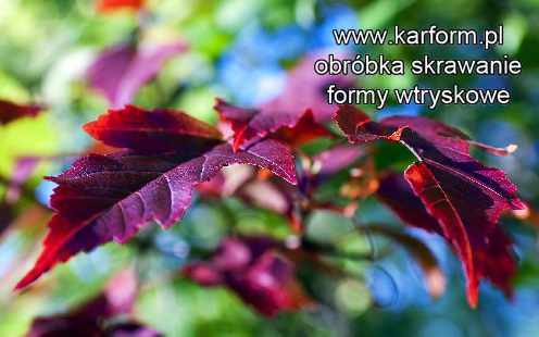 toczenie w metalu Częstochowa