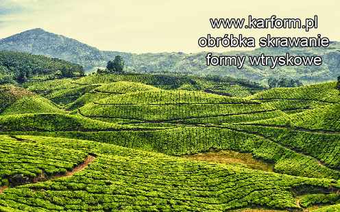 formy wtryskowe producent Wielkopolskie