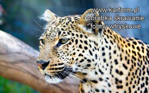 elementy z tworzywa sztucznego nawierzchni kolejowej najtaniej