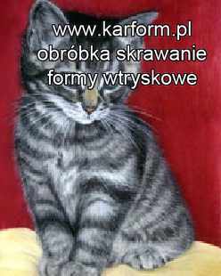 Stalowa Wola regeneracja form wtryskowych