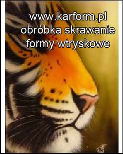 Gdynia formy wtryskowe