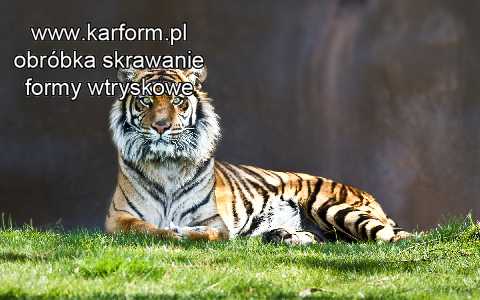 firmy usługi obróbka skrawaniem Łomża