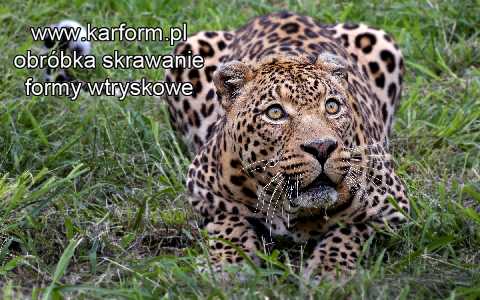 Szlifowanie skrawaniem Szczecin Wymierzone Świdnica szlifowanie metalu lontówkami
