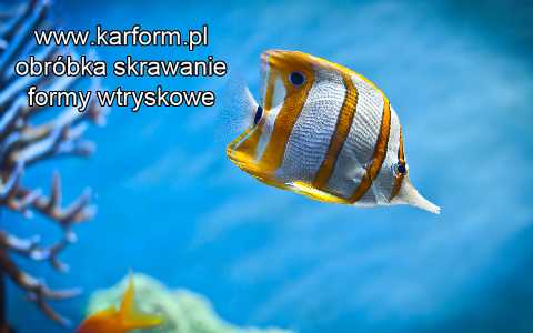 przekładka podszynowa