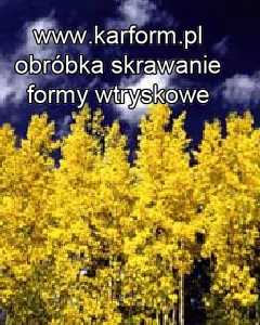 gwintowanie rur prętów aluminowych miedzianych mosiężnych stalowych Koszalin