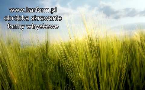 Kędzierzyn Koźle metalu obróbka