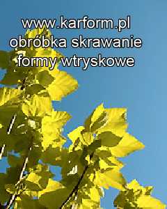 obróbka w metalu Mielec